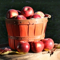 Light Apple Crisp