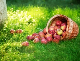 Baked Apples